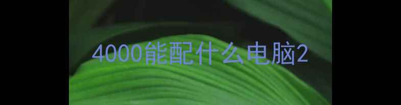 图片 4000能配什么电脑2
