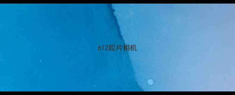 612胶片相机