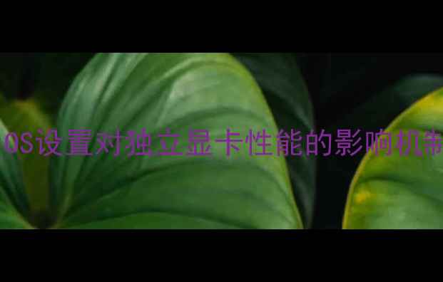 图片 BIOS设置对独立显卡性能的影响机制2