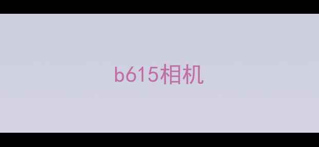 图片 b615相机