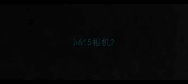 图片 b615相机2