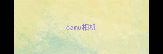 camu相机