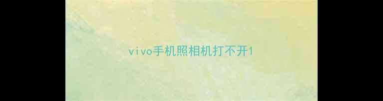 vivo手机照相机打不开