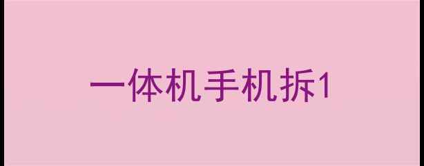 图片 一体机手机拆1