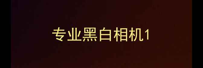 图片 专业黑白相机1
