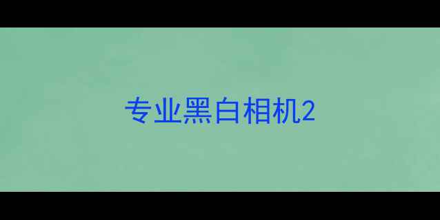 专业黑白相机