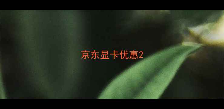 图片 京东显卡优惠2