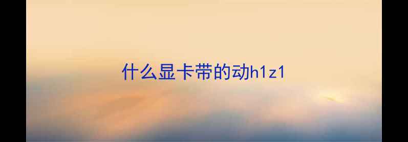 图片 什么显卡带的动h1z1