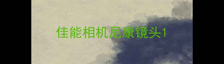 图片 佳能相机尼康镜头1