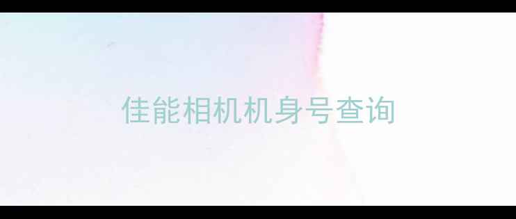 佳能相机机身号查询