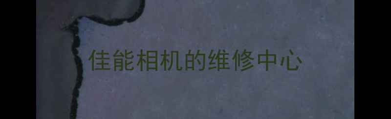 图片 佳能相机的维修中心