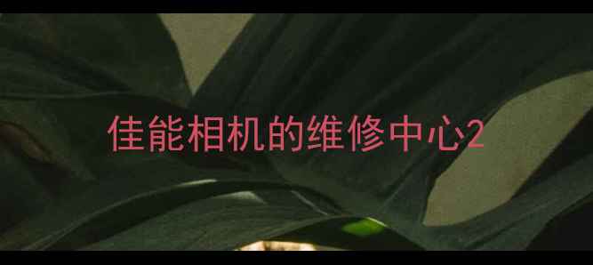 图片 佳能相机的维修中心2