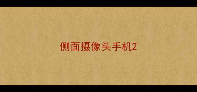 图片 侧面摄像头手机2