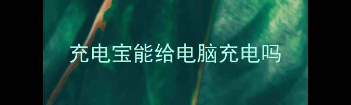 图片 充电宝能给电脑充电吗