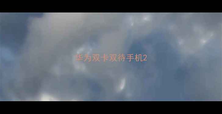 图片 华为双卡双待手机2