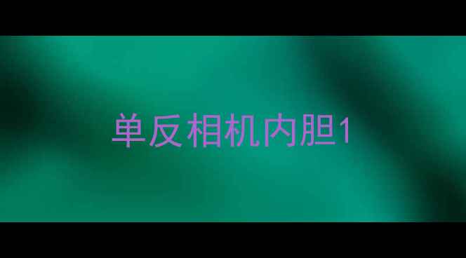 图片 单反相机内胆1