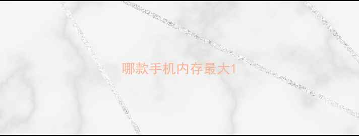 图片 哪款手机内存最大1