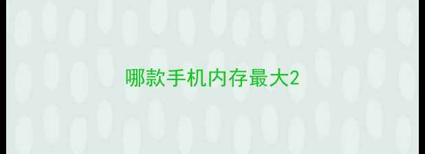 图片 哪款手机内存最大2
