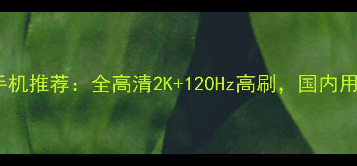 图片 国产超大屏旗舰手机推荐：全高清2K+120Hz高刷，国内用户必看选购指南2
