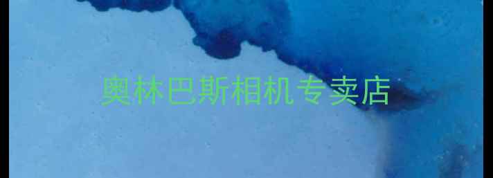 图片 奥林巴斯相机专卖店