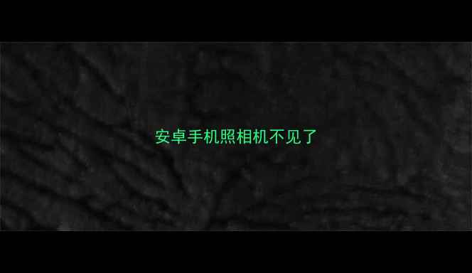 安卓手机照相机不见了