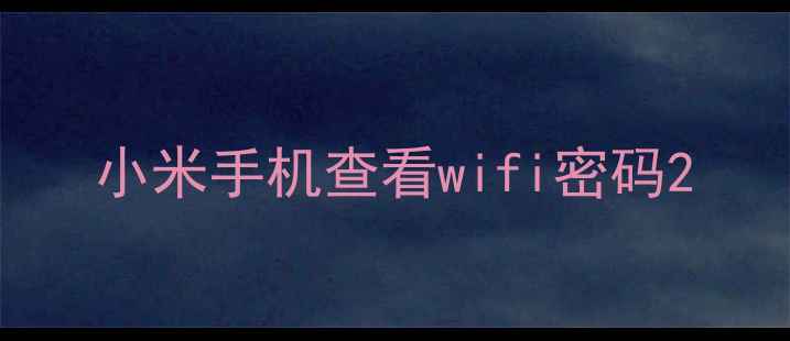 图片 小米手机查看wifi密码2