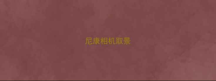 图片 尼康相机取景