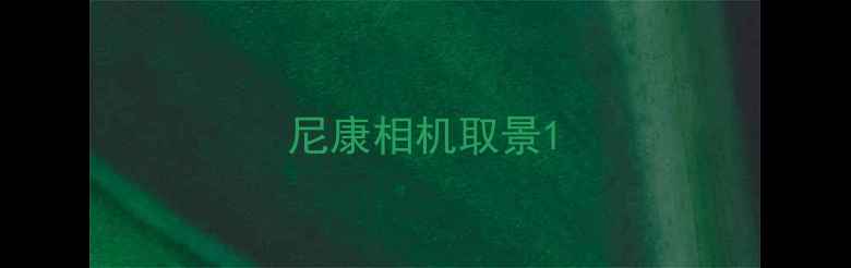 图片 尼康相机取景1