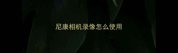图片 尼康相机录像怎么使用