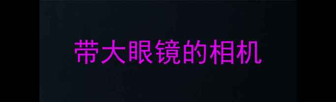 图片 带大眼镜的相机