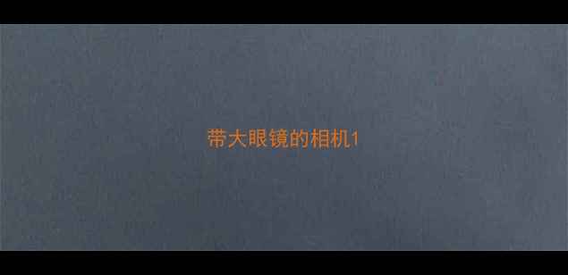 图片 带大眼镜的相机1