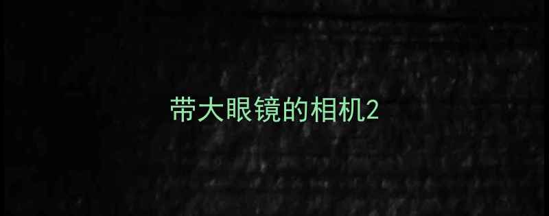 带大眼镜的相机