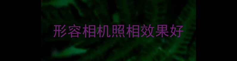形容相机照相效果好