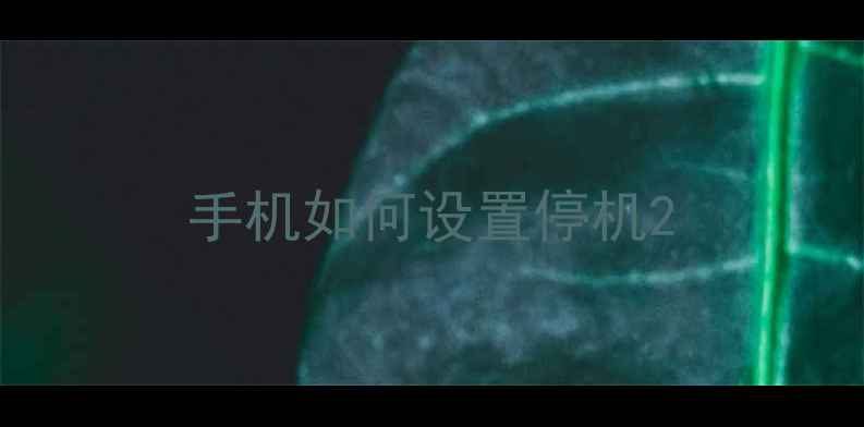 图片 手机如何设置停机2