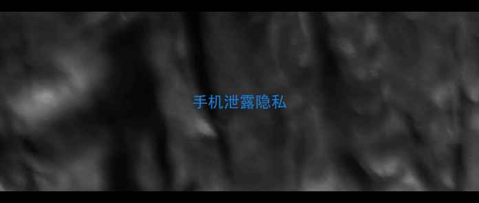 手机泄露隐私
