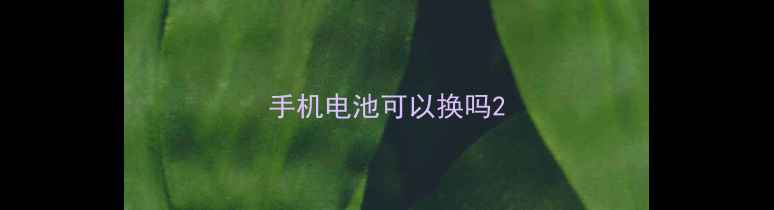 手机电池可以换吗