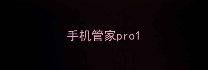 手机管家pro