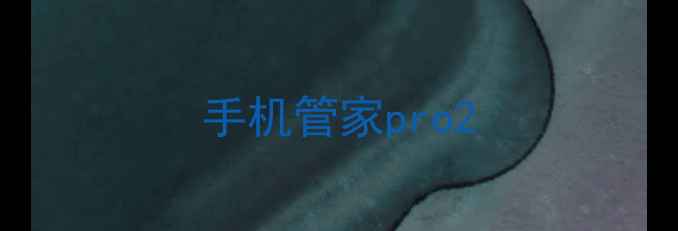 图片 手机管家pro2