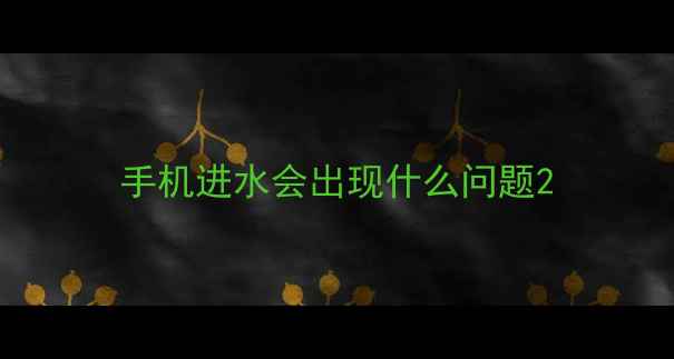 图片 手机进水会出现什么问题2