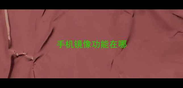 图片 手机镜像功能在哪