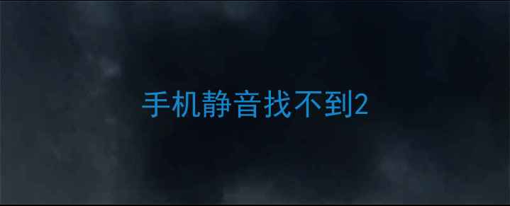 图片 手机静音找不到2