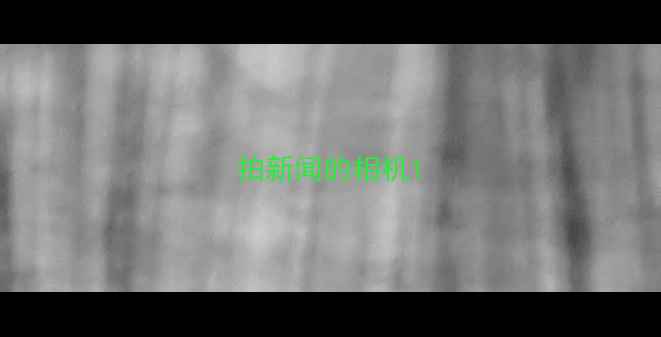 图片 拍新闻的相机1
