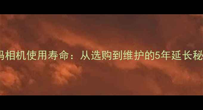 图片 数码相机使用寿命：从选购到维护的5年延长秘籍1