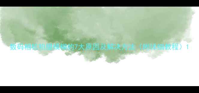 图片 数码相机拍摄模糊的7大原因及解决方法（附详细教程）1