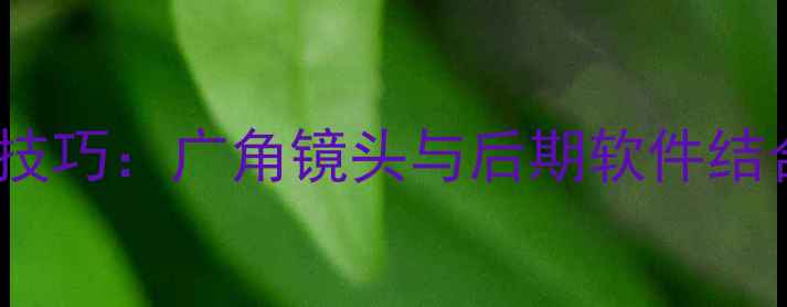 图片 数码相机摄影透视技巧：广角镜头与后期软件结合拍出电影感画面1
