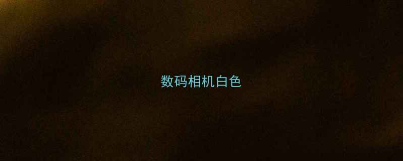 图片 数码相机白色