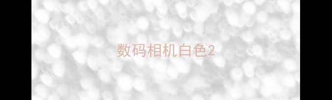 数码相机白色
