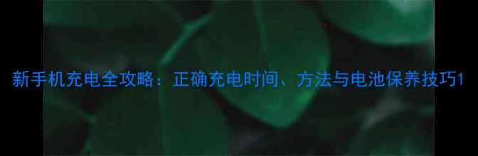新手机充电全攻略正确充电时间方法与电池保养技巧