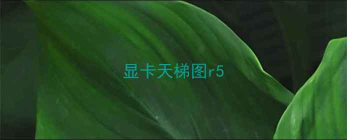 显卡天梯图r5