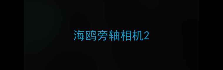 图片 海鸥旁轴相机2